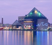 Aquarium_Night