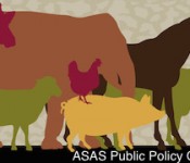 Public Policy