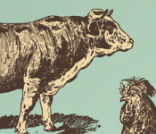 bulletin banner