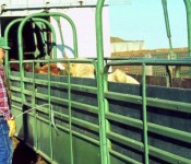 Chutebanner