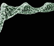 dna_banner