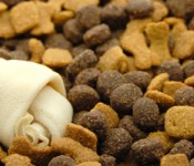 dog-food