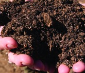 fertilizer_banner