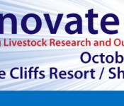 innovate-banner