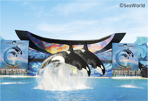 SeaWorld_Web