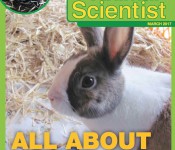 jranisciMar17cover