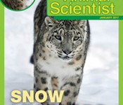 JrAS_JAN_2017_cvr