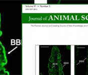 may_cover_jas