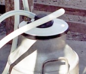 milking_unit