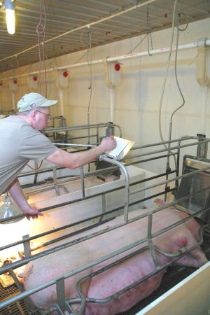 Good recordkeeping was called the "cornerstone" of animal health.
