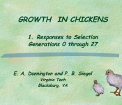 NAL4392_growthinchickens_1121