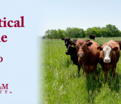 Pharm Cattle