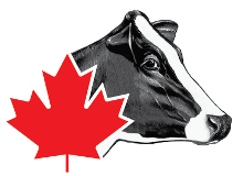 holsteincanada