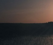Photo courtesy of USDA NRCS.