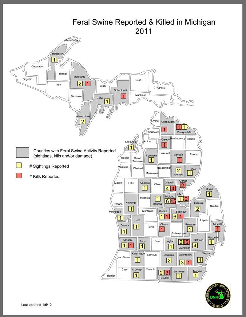 Feral Hogs In Illinois Map United - Swine Map Jpg wild hog population map florida
