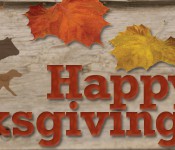 thanksgiving2015