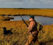 Photo courtesy of Hagerty Ryan, U.S. Fish and Wildlife Service