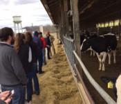 UnivMDdairyB&B